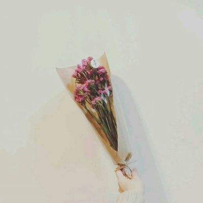 寻龙ol手游下载